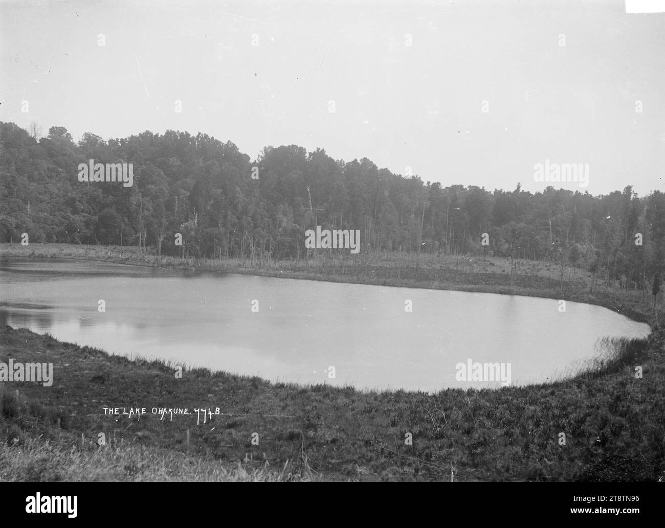 Der See bei Ohakune, mit Blick auf einen kleinen See bei Ohakune, mit kleinen Lichtungen in einem großen Bestand von einheimischen Büschen, um 1910 Stockfoto