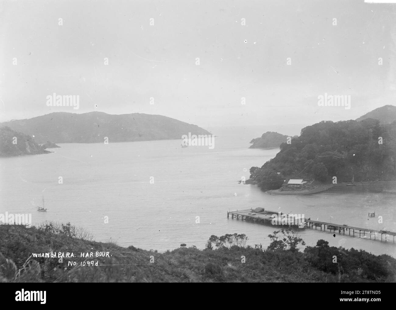 Whangaparapara Harbour, Great Barrier Island, Blick hinunter auf den Kai und über den Eingang des Whangaparapara Harbour. Es gibt eine Yacht, die ihren Weg zu den Köpfen findet, und eine weitere, die Anfang der 1900er Jahre in der Bucht verankert ist Stockfoto