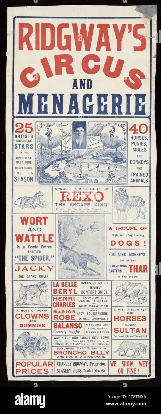 Ridgway's Circus und Menagerie. New Zealand Times Print CA 1910-1919, zeigt eine Anordnung verschiedener Texte, angeordnet um Einstichstiche von Zirkusdarstellern und ein eingelassenes Kopf- und Schulterportrait von Charles? Ridgway, der Besitzer. Der Tourleiter war Stanley Riggs. Einsätze zeigen einen Zirkusring, einen Löwen, einen Tiger, einen Mann, der auf dem Rücken eines galoppierenden Pferdes steht, einen Pavian, einen Bären, eine Hyäne und eine Schlange. Dargestellte Darsteller waren: Rexo der Fluchtkönig; Wort und Wattle in einem Comic-Hauptgericht „The Spider“, eine Truppe springender Hunde; ein darstellender Thar; La Belle Beryl Stockfoto