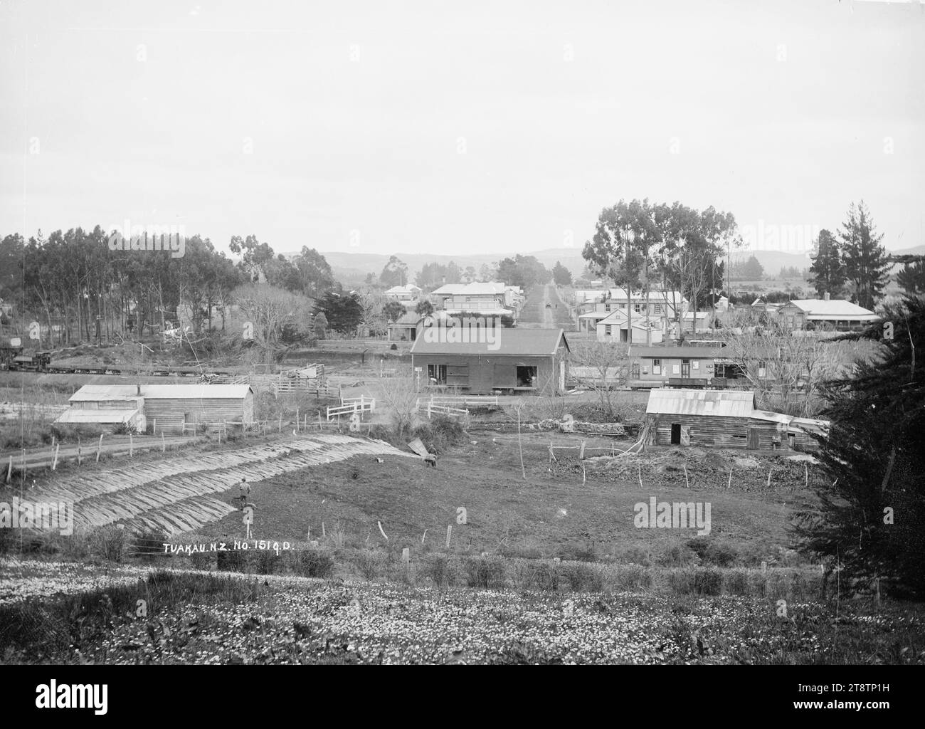 Tuakau Township, Tuakau Township, möglicherweise zwischen 1910 und 1930. Im Vordergrund ist die Flachsfaser zum Trocknen und Bleichen ausgelegt. In der Mitte befinden sich der Bahnhof und die Bahnhöfe, mit der Hauptstraße in der Ferne. Die Creamery kann man in der Nähe der hohen Bäume in der Mitte sehen Stockfoto