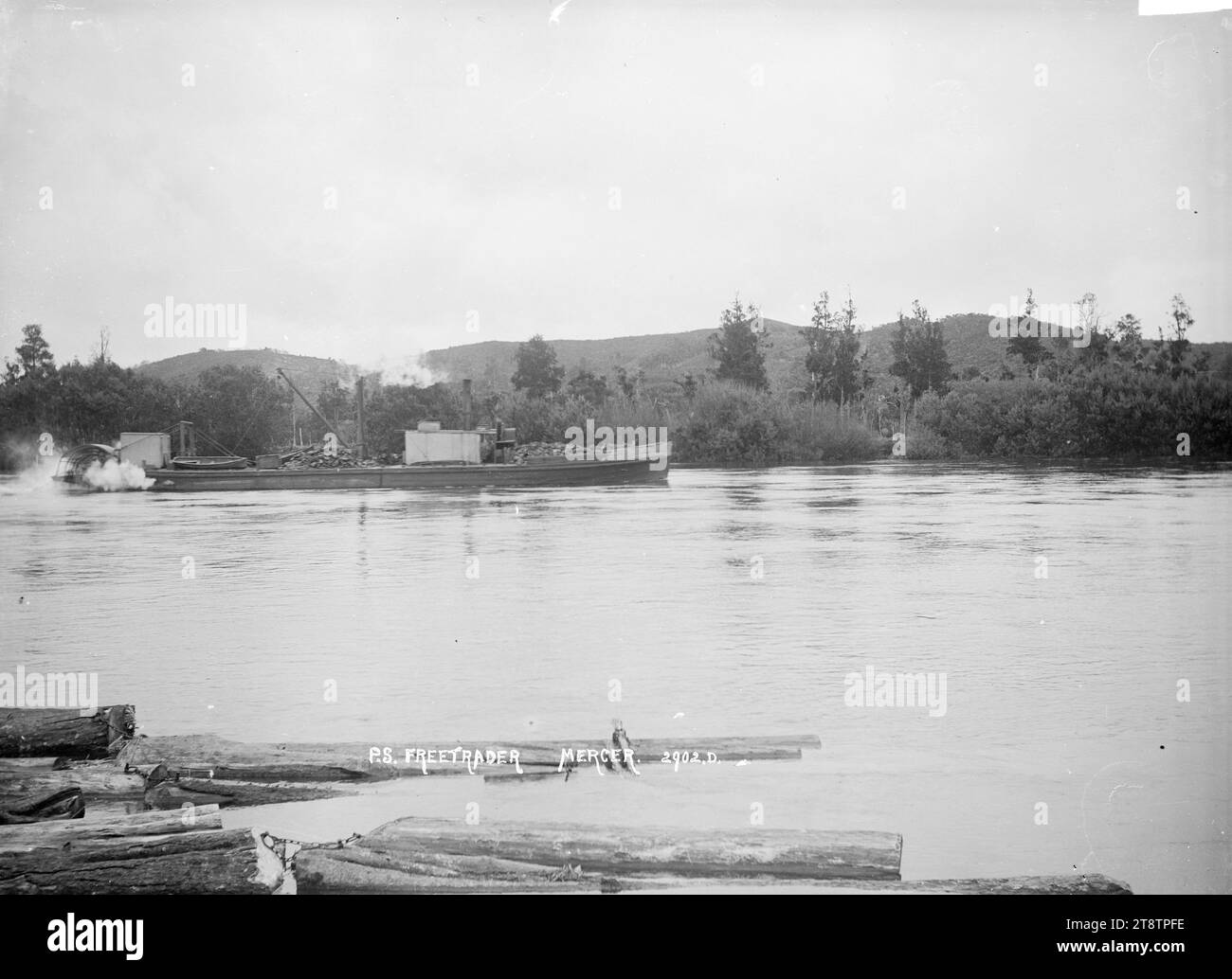 Paddeldampfer Freetrader auf dem Waikato River in der Nähe von Mercer, Blick auf den Paddeldampfer Freetrader auf dem Waikato River in der Nähe von Mercer. Baumstämme schwimmen im Fluss im Vordergrund. Anfang der 1900er Jahre Stockfoto
