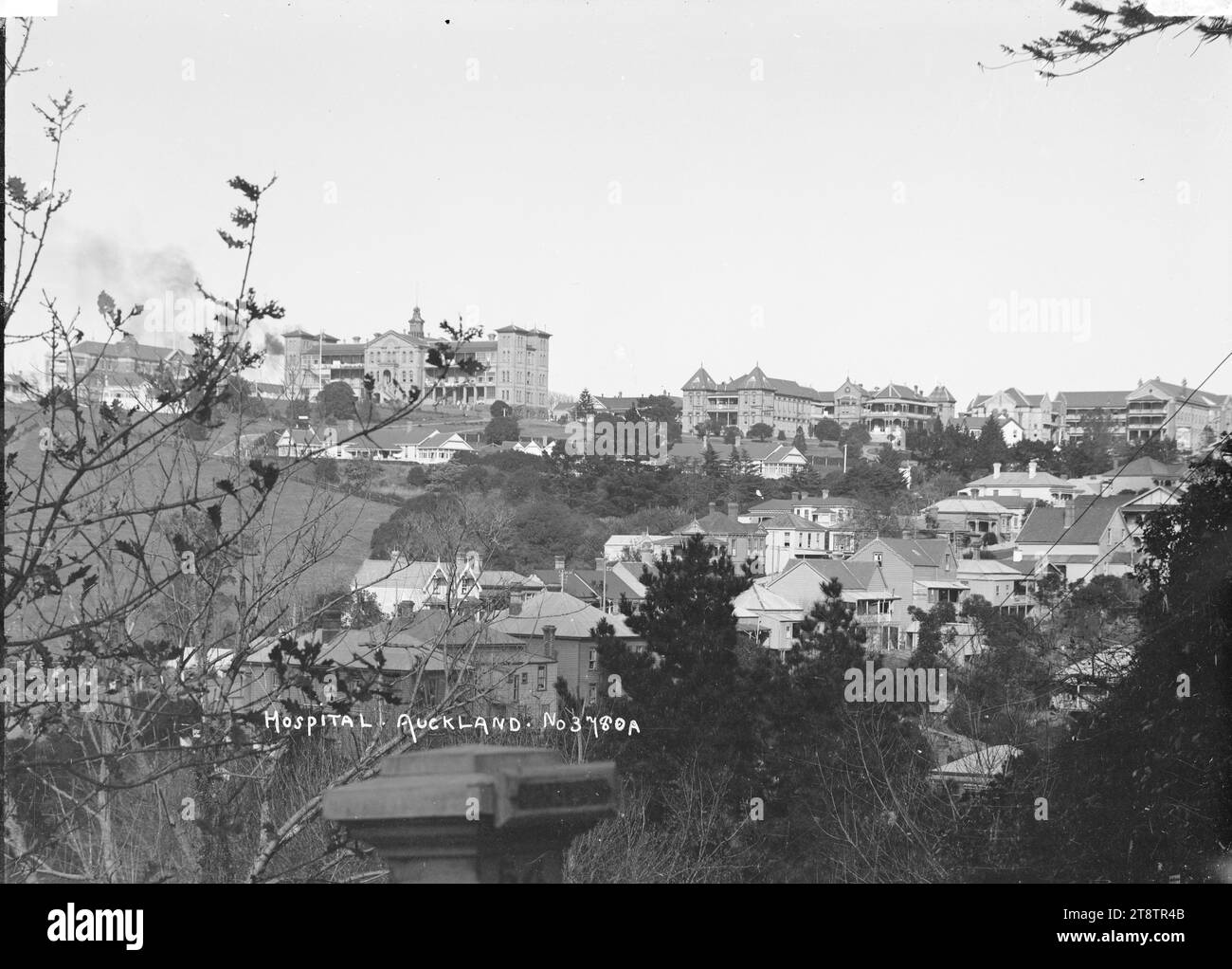 Blick auf Auckland, New Zealand Hospital, Blick auf Auckland, New Zealand Hospital am Horizont, Blick nach Süden von der Symonds Street Gegend. Im Mittelvordergrund befinden sich Häuser, die inzwischen abgerissen wurden, um Platz für die Autobahn zu schaffen. Fotografiert zwischen 1900-1930 Stockfoto