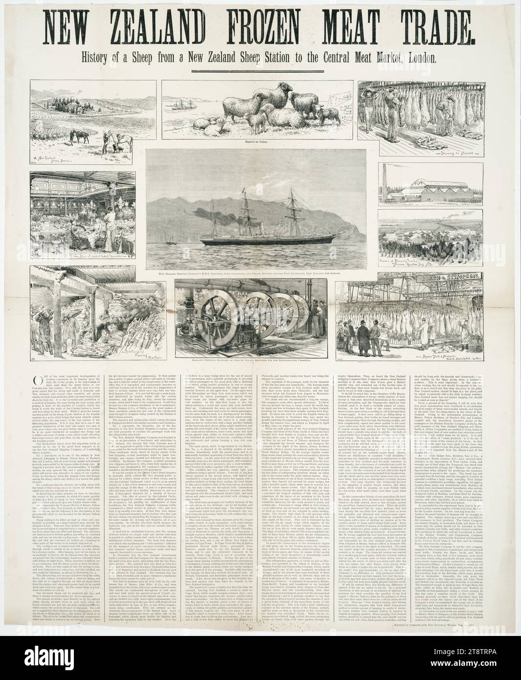 Neuseeländischer Handel mit gefrorenem Fleisch; Geschichte eines Schafes von einer neuseeländischen Schafstation zum Central Meat Market in London. Nachdruck mit Erlaubnis von „The Pictorial World“, 21. Juli 1887, Illustrationen (einige von Hare und andere von S.B.) und Text über den Export von Fleisch. Die Abbildungen zeigen Stockfoto