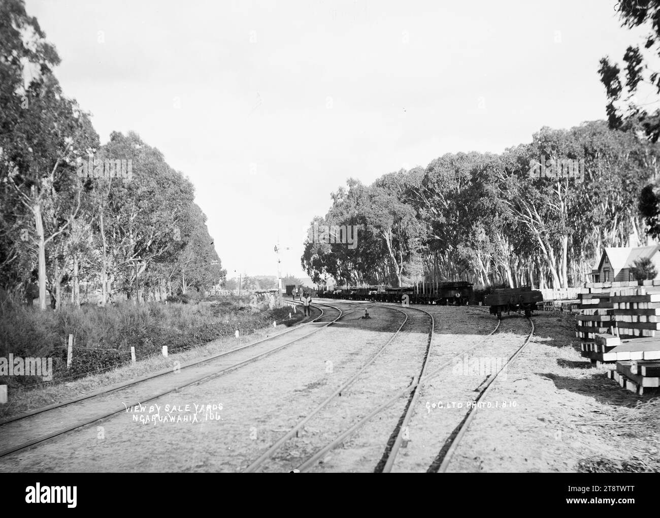 Eisenbahnlinie bei den Saleyards bei Ngaruawahia, Neuseeland, 1910 -, Blick neben den Saleyards, an der Eisenbahnlinie bei Ngaruawahia, Neuseeland. Auf der rechten Seite des Gleises befindet sich ein großer Kaugummi. (Wahrscheinlich Green & Colebrook, Händler, mit einer Niederlassung in Ngaruawahia, Neuseeland Stockfoto