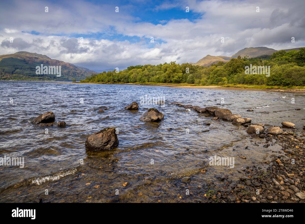 Beinn Bhreac, Ptarmigan und Ben Lomond über Loch Lomond und den Rowardennan Forest in Stirlingshire, Schottland Stockfoto