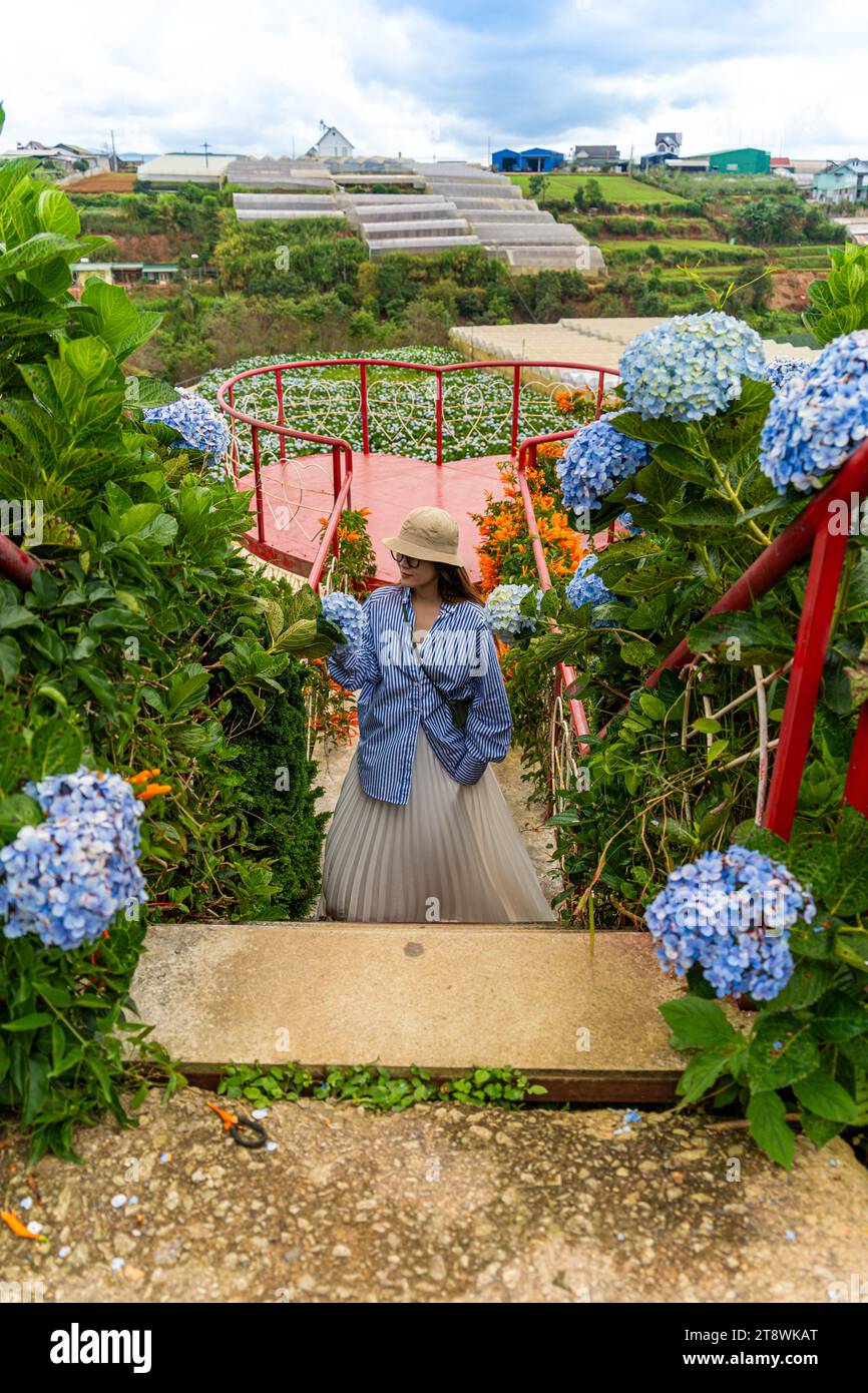Junge Reisende, die mit blühenden Hortensien-Gärten in Dalat, Vietnam, genießt. Reise-Lifestyle-Konzept Stockfoto