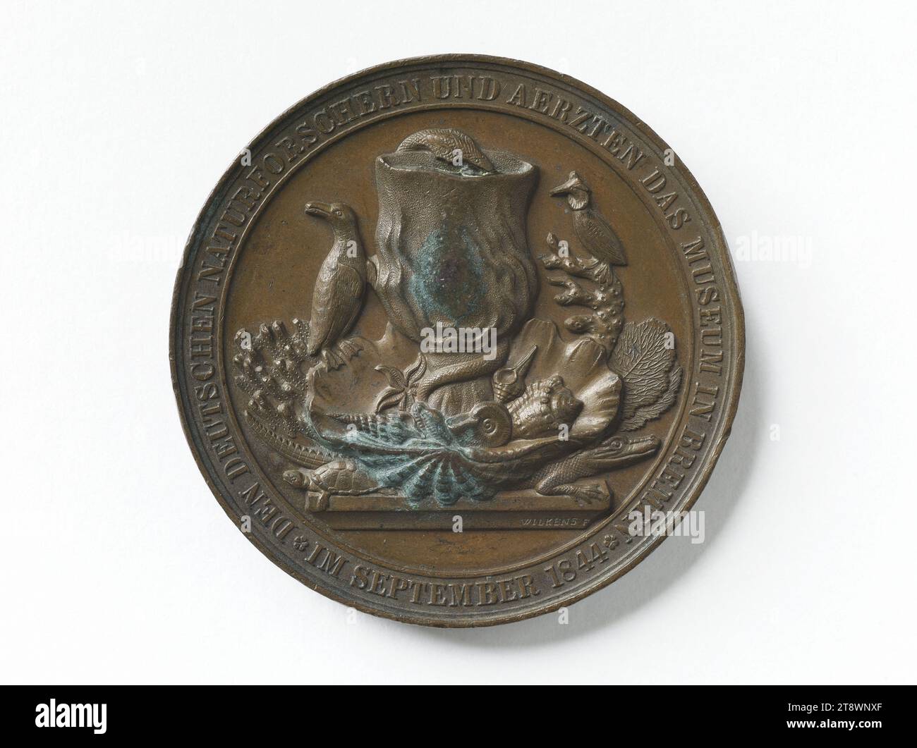 Gottfried Reinhold Treviranus (1776–1837), deutscher Naturforscher, und Heinrich Wilhelm Matthaus Olbers (1758–1840), deutscher Astronom, Arzt und Physiker, um 1840, Wilkens Medaillengravur, um 1840, Numismatisch, Medaille, Durchmesser: 4,8 cm, Gewicht (Typengröße): 65,13 g Stockfoto