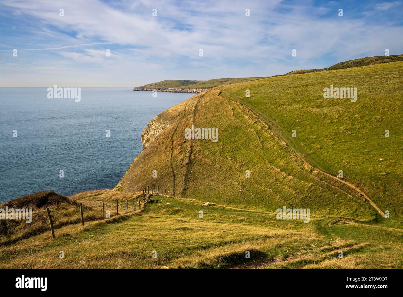 Der South Coast Trail auf der Isle of Purbeck in Richtung St Aldhelm’s Head, Dorset, England Stockfoto
