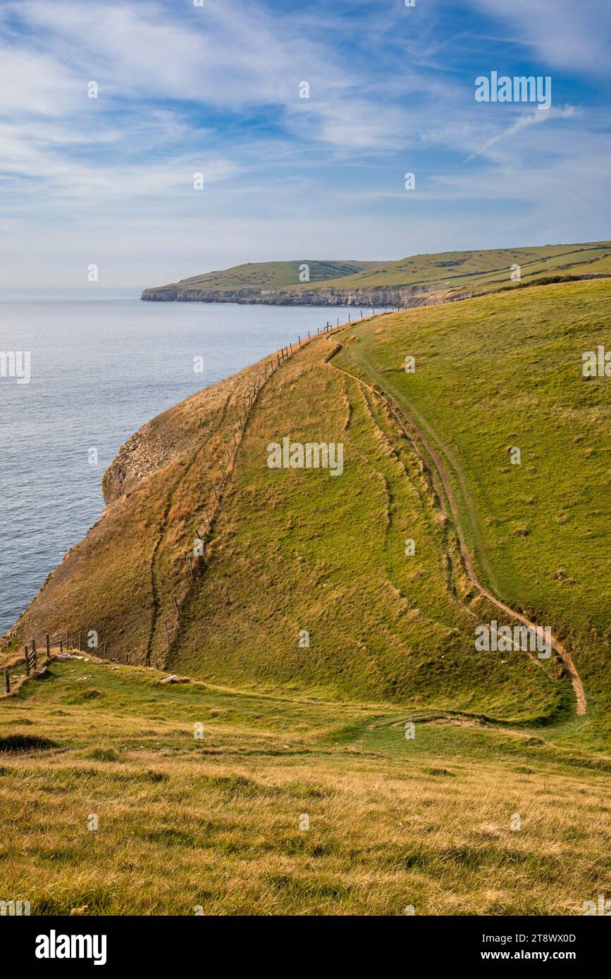 Der South Coast Trail auf der Isle of Purbeck in Richtung St Aldhelm’s Head, Dorset, England Stockfoto