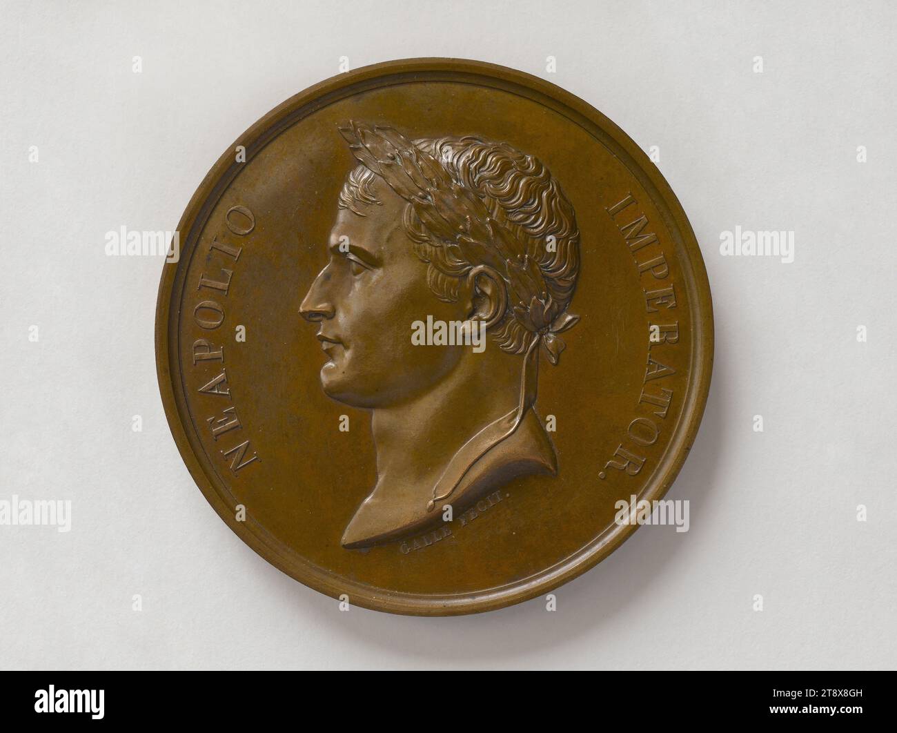 Bestatter von Marschall Lannes, 6. Juli 1810, Galle, André, Gravierer in Medaillen, Array, Numismatik, Medaille, Abmessungen - Werk: Durchmesser: 6,9 cm, Gewicht (Typenmaß): 129,3 g Stockfoto