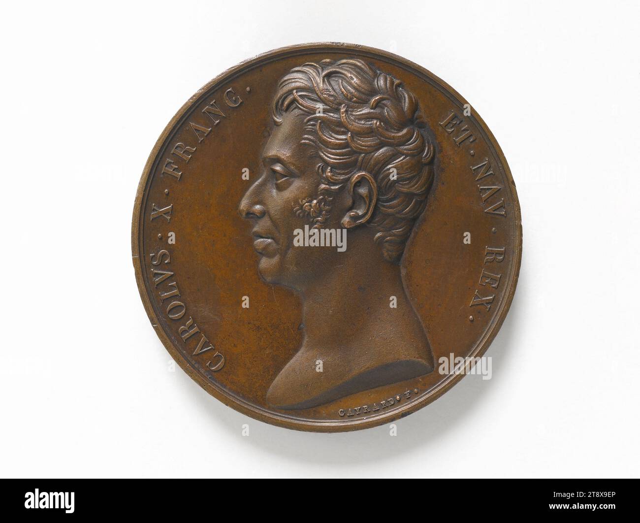 Rede von Karl X. an die Kollegen Frankreichs und an die Abgeordneten, 17. September 1824, Gayrard, Raymond, Array, Numismatik, Medaille Stockfoto