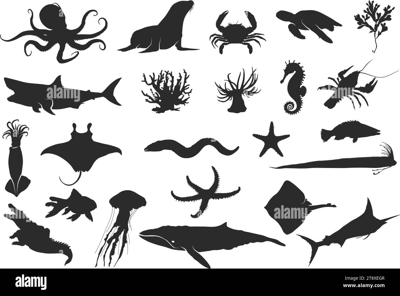 Meerestier Silhouette, Ozeantier Silhouette, Schwarze Silhouetten von Fischen, Seepferdchen, Muscheln, Tintenfisch, Quallen, Delfine, Seesterne usw. Stock Vektor