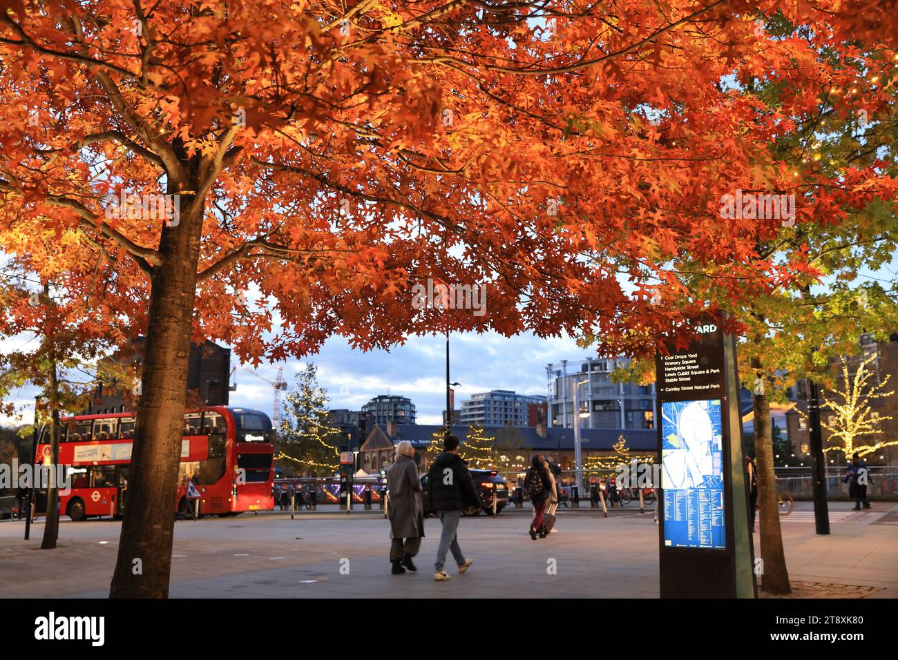 Herbstfarben auf dem Kings Boulevard, am Kings Cross, mit Blick auf den Granary Square, im Norden Londons, Großbritannien Stockfoto