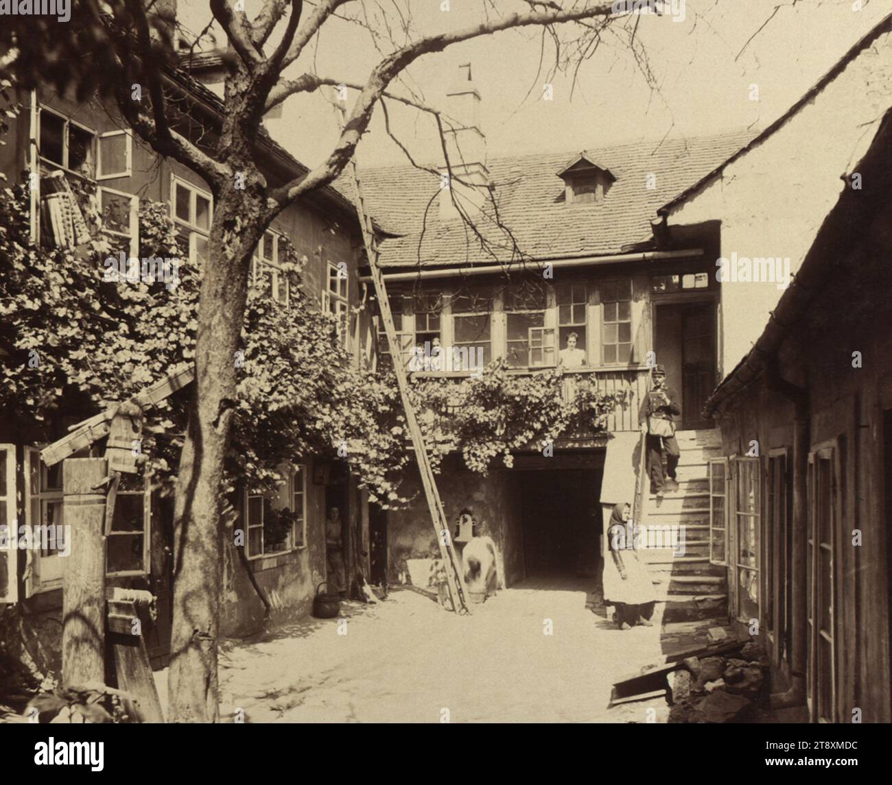 9., Althanstraße 25 - Hofblick - Gartenhof, August Stauda (1861-1928), Fotograf, Datum um 1902, Begleitkarton, Albumenpapier, Trägerkarton 31, 3 x 42 cm, Bildgröße 22, 8 x 27, 3 cm, Beschriftung, Textleiste u.: 1024. Wien, IX. Althangasse 25. A. Stauda, IV Schleifmühlg. 5., Architektur, verschwundene Stätten und Bauten, 9. Bezirk: Alsergrund, Fassade des Innenhof, Leiter, Treppe, Bäume, Fensterblick, Die Wiener Sammlung Stockfoto