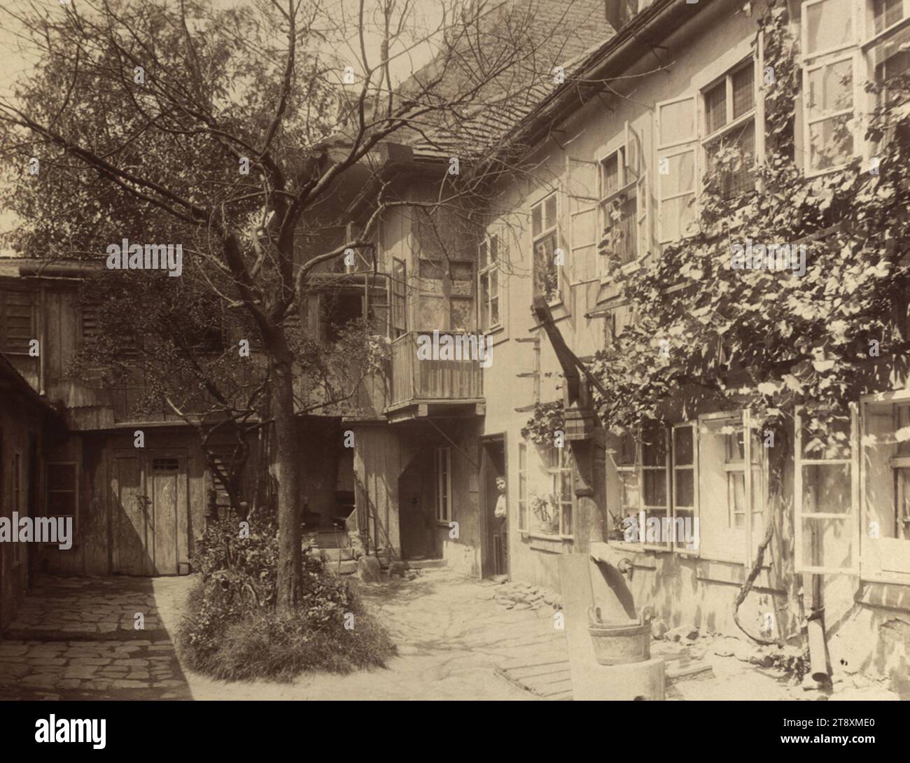 9., Althanstraße 25 - Hofblick - Gartenhof, August Stauda (1861-1928), Fotograf, Datum um 1902, Begleitkarton, Albumenpapier, Trägerkarton 31, 4 x 42 cm, Bildgröße 22, 3 x 27, 8 cm, Beschriftung, Textleiste u.: 1025. Wien, IX. Althangasse 25. A. Stauda, IV Schleifmühlg. 5., Architektur, verschwundene Stätten und Bauten, 9. Bezirk: Alsergrund, Fassade des Innenhof, Bäume, Sammlung Wien Stockfoto