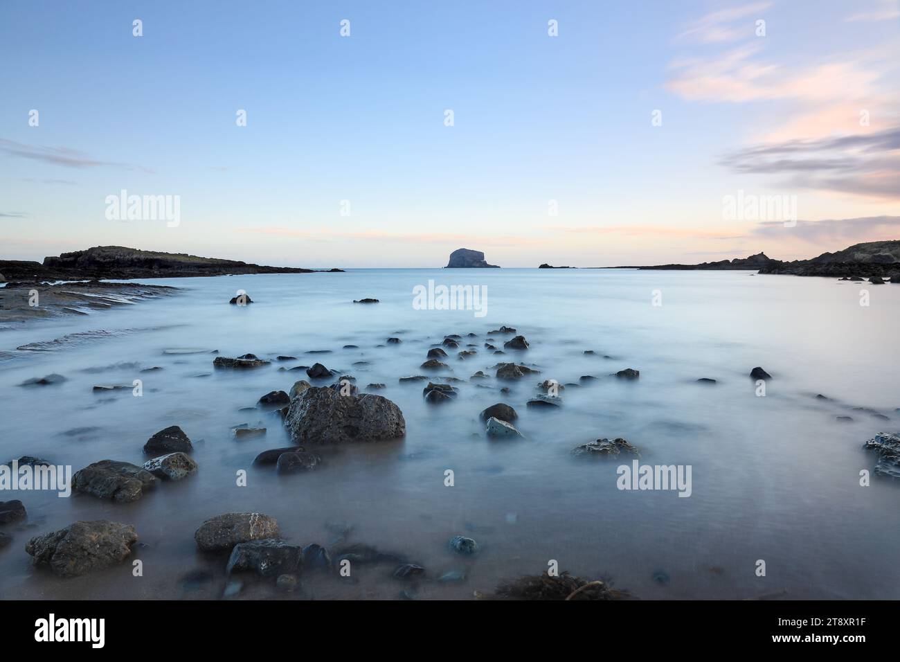 The Bass Rock in Dawn Light, North Berwick, East Lothian, Schottland, Großbritannien Stockfoto