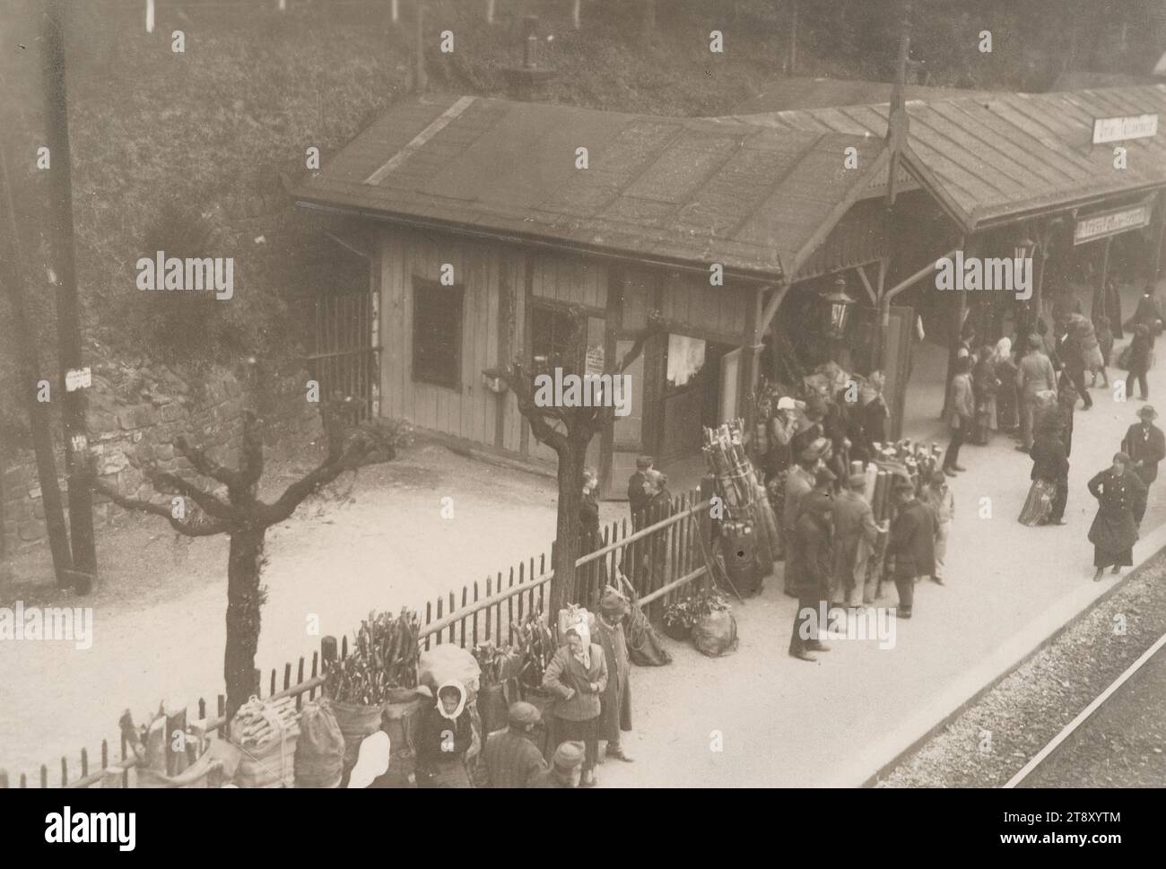 Entfernung des Wienerwaldes während des Brennholzbedarfs in Wien, Richard Hauffe (1878-1933), Fotograf, 1919, Fotografie, Wienerwald, Bahnhof; Schutzhütte (Bahn, Straßenbahn), Wiener Sammlung Stockfoto