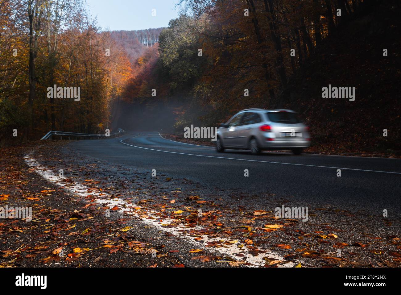 Silbernes Auto, das die Bergstraße hinunter fährt, bedeckt mit gefallenen Blättern Stockfoto