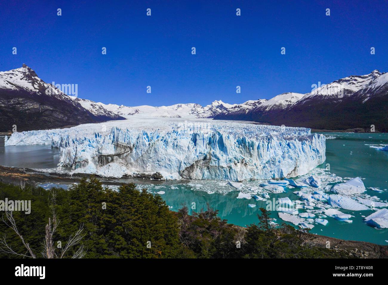 Perito Moreno Gletscher in Patagonien, aus Sicht mit klarem blauen Himmel. Stockfoto