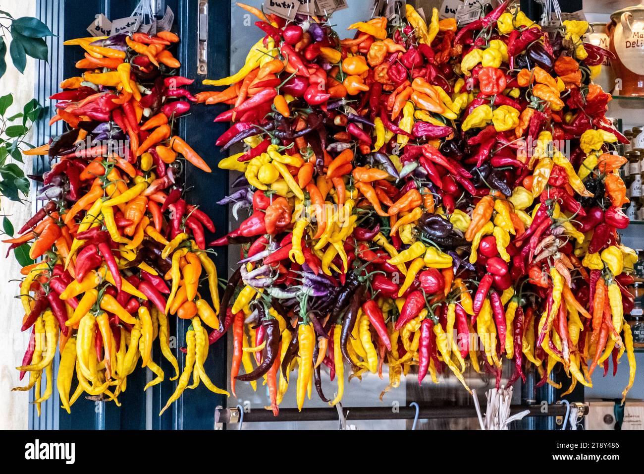 Vor einem Delikatessengeschäft in Santanyi, Spanien, hängen verschiedene rote Chilis und rote Paprika Stockfoto