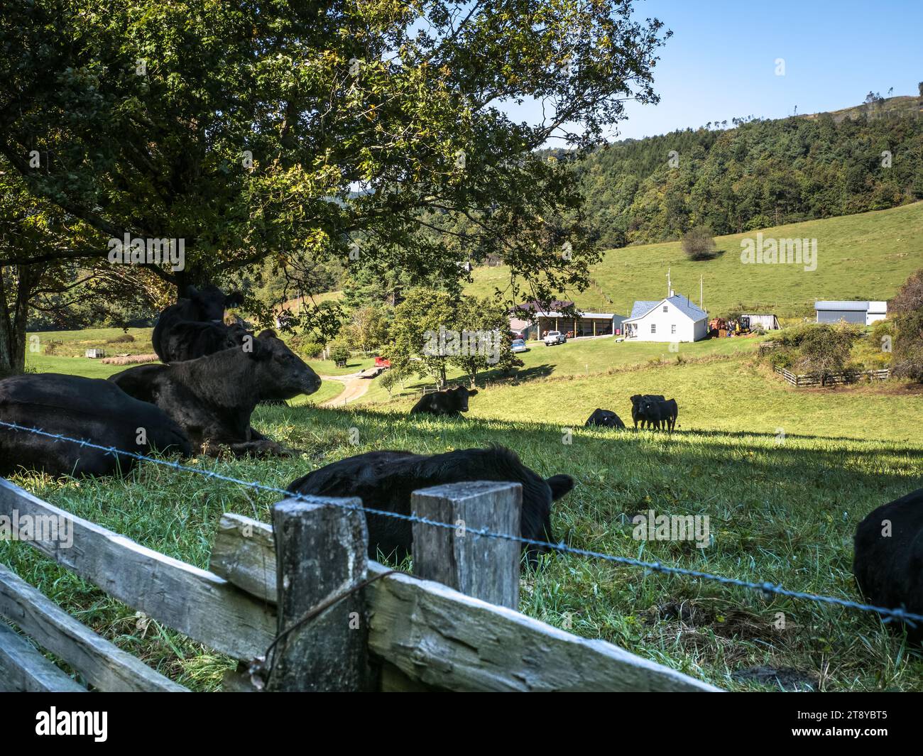 Farm am Blue Ridge Parkway, North Carolina, USA Stockfoto