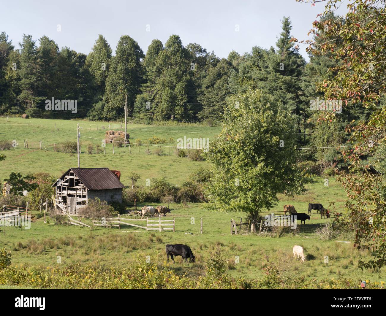 Farm am Blue Ridge Parkway, North Carolina, USA Stockfoto