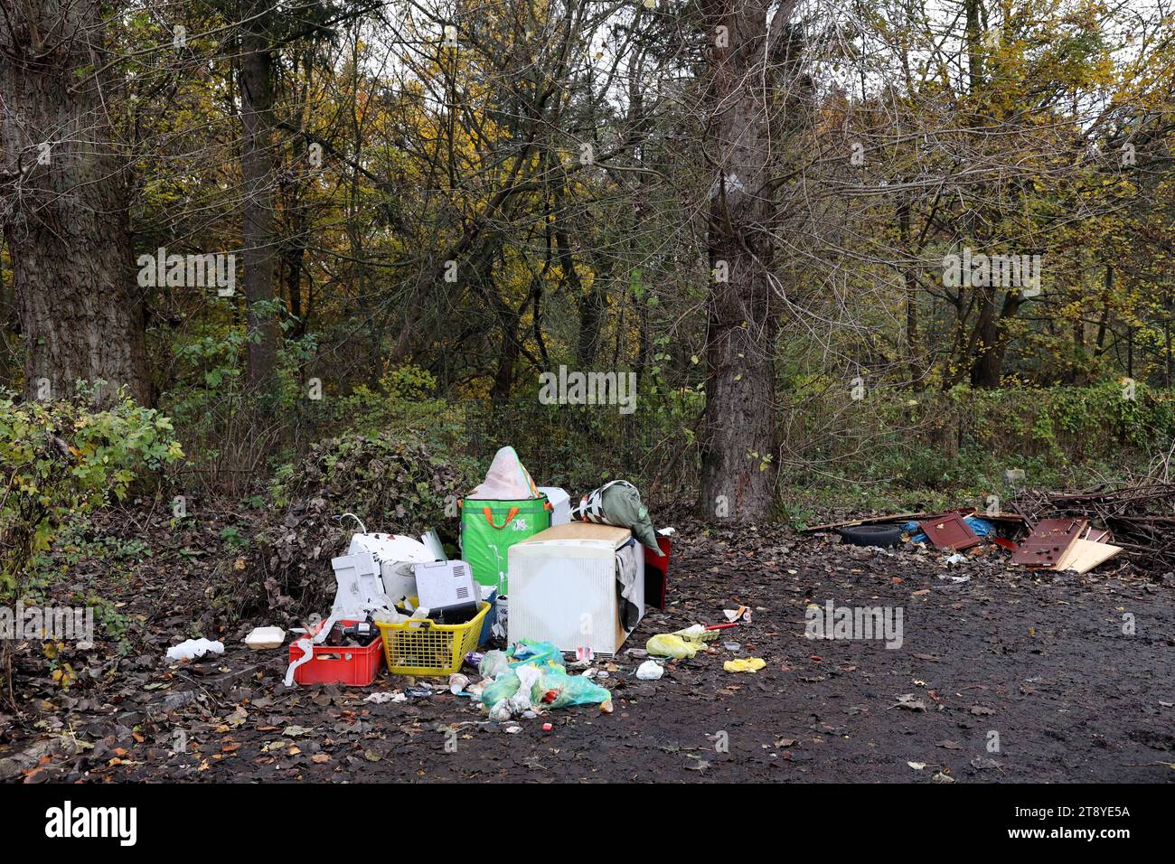 Berlin - Deutschland. Am Waldrand illegaler Vertreiber Müll. *** 18 11 2023, Berlin, Deutschland. November 2023. Illegal entsorgte Abfälle am Waldrand Credit: Imago/Alamy Live News Stockfoto