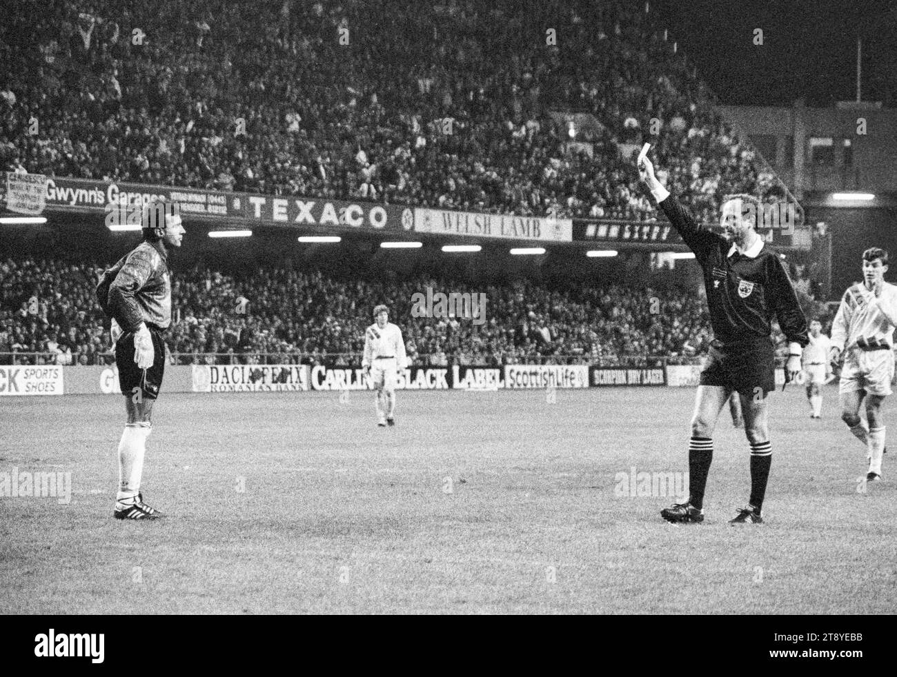 Der rumänische Torhüter Florin Prunea wird vom Schiedsrichter Kurt Röthlisberger für Zeitverschwendung gebucht. Qualifikation zur FIFA-Weltmeisterschaft 1994 Gruppe 4 – Wales gegen Rumänien im Cardiff Arms Park, Wales, Großbritannien am 17. November 1993. Ein Sieg für Wales in diesem letzten Gruppenspiel würde die Qualifikation als einziger Vertreter aus Großbritannien bestätigen. Nach 64 Minuten mit dem Ergebnis von 1-1 hatte Wales einen Elfmeter, um die Führung zu übernehmen, aber Paul Bodins Spot-Kick traf die Bar. Florin Raducioiu erzielte in 82 Minuten den Sieger für Rumänien und qualifizierte sich stattdessen. Foto: Rob Watkins Stockfoto