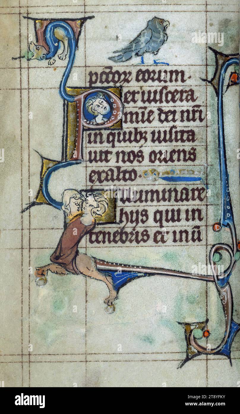 Beauts Damen Netzstrumpfhose Mit Blumenmuster - Elegante Strumpfhose One Size