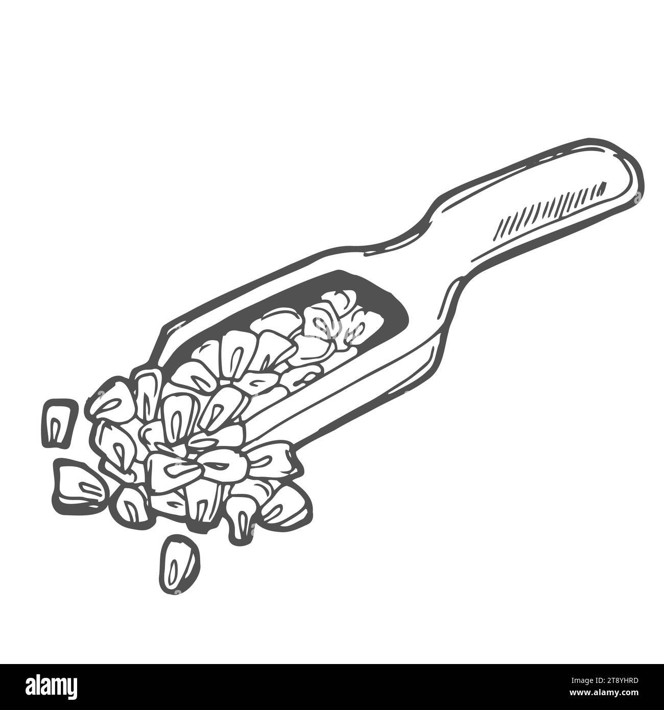 Vektor-Illustration von Hand ziehen Holzlöffel mit Weizenmehl. Skizziertes Konzept. Schwarze Strichzeichnung, isoliert auf weißem Hintergrund. Glutenfutter in Stock Vektor