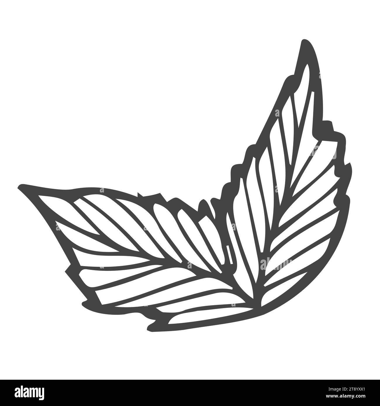 Handgezeichneter Minzzweig mit Blättern isoliert auf weiß. Handgezeichnete scharfe Kräuter. Kochen Sie die Zutaten für das Design. Handgezeichnete Würze. Stock Vektor