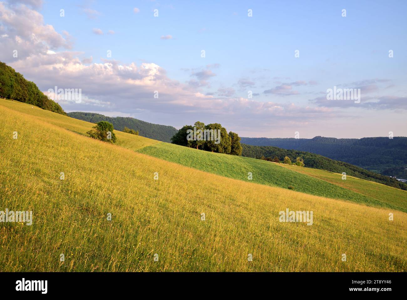 Klimawandel in eur.OP Stockfoto