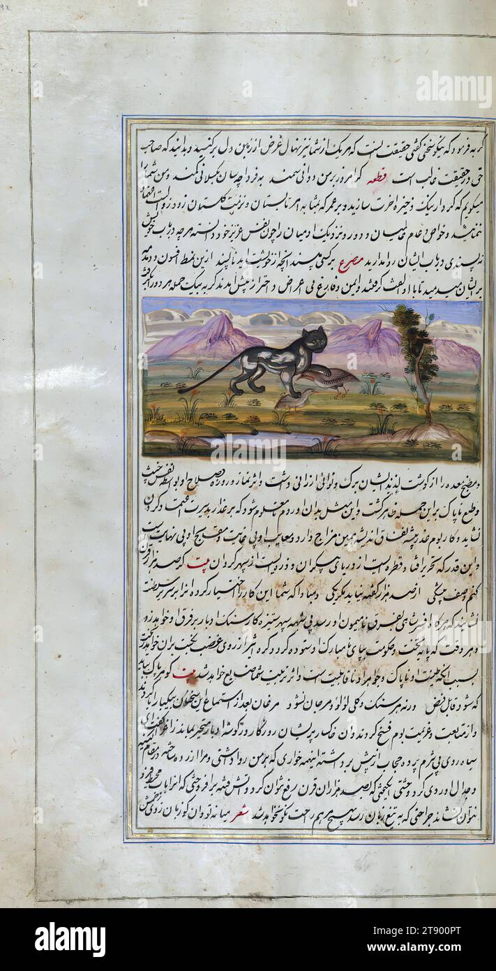 Die Lichter von Canopus, eine alte Katze tötet einen Rebhühner und eine Wachtel, dies ist eine beleuchtete und illustrierte Kopie von Anvār-i Suhaylī (die Lichter von Canopus) aus dem 13. Jahrhundert AH / 19. Jahrhundert. Es ist eine persische Version von Kalīlah wa-Dimnah (die Fabeln von Bīdpāy). Sie wurde am 26 Jumādá I 1264 AH / 1847 CE von Mīrzā Raḥīm fertiggestellt. Der Text ist in nastaʿliq-Schrift in schwarzer und roter Tinte geschrieben, was den Einfluss der Shikastah-Schrift offenbart. Es gibt 123 Gemälde, die den Text illustrieren. Der Qajar-Einband ist im Original des Manuskripts enthalten Stockfoto