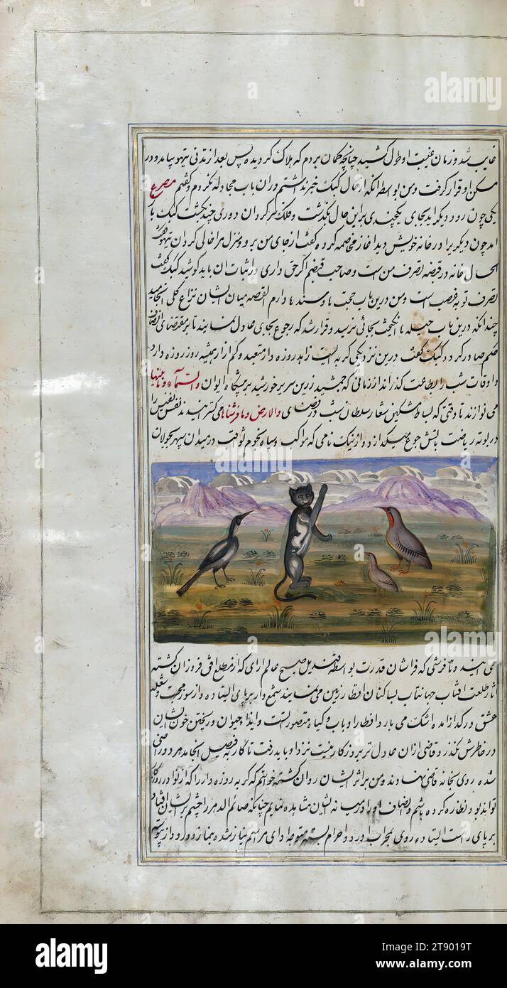 Die Lichter von Canopus, Ein Rebhühner und eine Wachtel in Begleitung einer alten Katze, dies ist eine beleuchtete und illustrierte Kopie von Anvār-i Suhaylī (die Lichter von Canopus), datiert auf das 13. Jahrhundert AH / 19. Jahrhundert. Es ist eine persische Version von Kalīlah wa-Dimnah (die Fabeln von Bīdpāy). Sie wurde am 26 Jumādá I 1264 AH / 1847 CE von Mīrzā Raḥīm fertiggestellt. Der Text ist in nastaʿliq-Schrift in schwarzer und roter Tinte geschrieben, was den Einfluss der Shikastah-Schrift offenbart. Es gibt 123 Gemälde, die den Text illustrieren Stockfoto