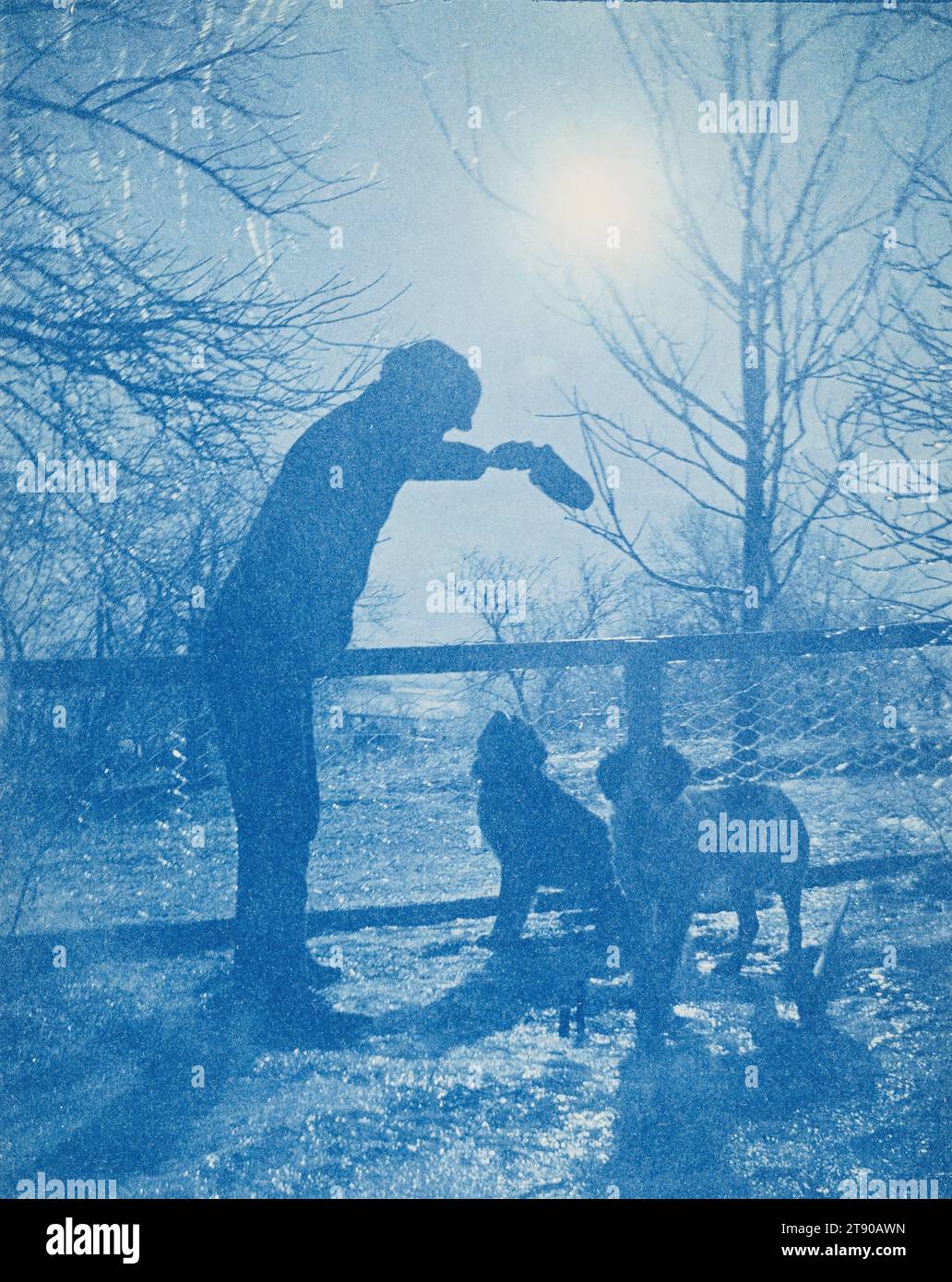 Rulo, Nebraska, ca. 1900, Agnes Winterbottom Cooney, amerikanisch, 1878-1940, 4 3/4 x 3 3/4 Zoll (12,07 x 9,53 cm) (Bild)6 1/2 x 4 7/8 Zoll (16,51 x 12,38 cm) (Halterung), Cyanotype, USA, 19.-20. Jahrhundert Stockfoto