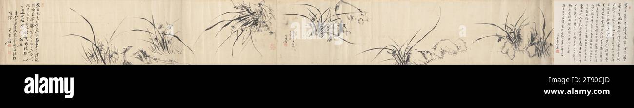 Orchideen, Mitte des 19. Jahrhunderts, Unge, Japanisch, 1773 - 1850, 10 7/8 x 105 5/8 Zoll (27,62 x 268,29 cm) (Bild)11 9/16 x 120 Zoll (29,37 x 304,8 cm) (ohne Rolle), Tinte auf Papier, Japan, 19. Jahrhundert Stockfoto