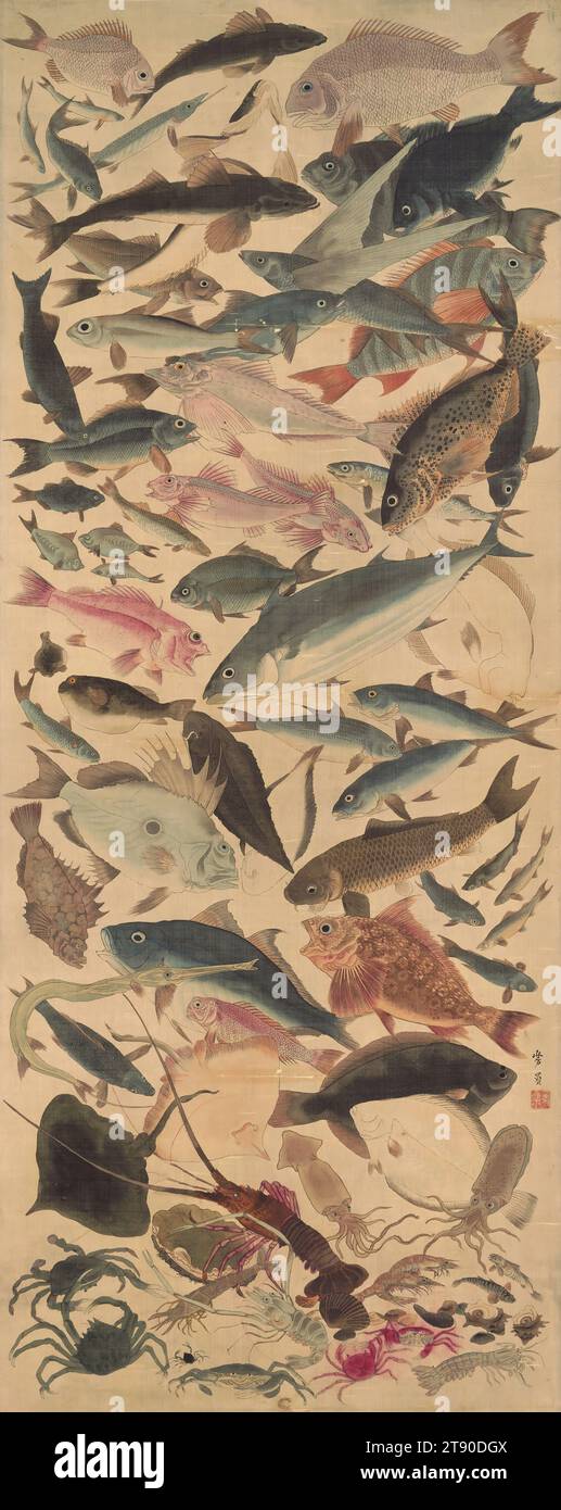 Achtundachtzig Fische, zweite Hälfte des 19. Jahrhunderts, Utagawa Yoshikazu, Japaner, aktiv. c.1850 - 1869, 44 15/16 x 7/8 Zoll (114,14 x 45,4 cm) (Bild)75 1/8 x 23 3/8 Zoll (190,82 x 59,37 cm) (Halterung, ohne Rolle), Tinte und Farben auf Seide, Japan, Nikuhitsu ukiyo-e, Eine Fata Morgana von Fischen gemalt zu Ausmaß von Horror i vakuii. Alle wurden akribisch mit fast wissenschaftlicher Genauigkeit erstellt. Unten sind Krabben, ein Hummer, Garnelen, ein Stachelrochen, Flunder Stockfoto