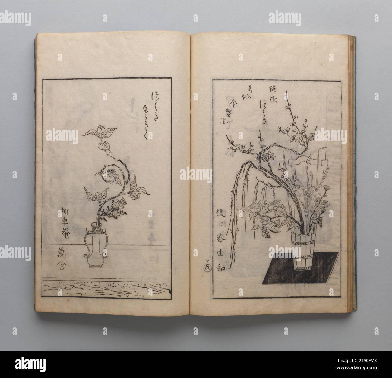 One Hundred Examples of Kai-Style Flower Arrangements (Kōyō seika hyakuhei zu 甲陽生花百瓶図), Vol. 1, 1774, 5th Lunar Month, Shōmeian Rochū, 10 11/16 x 6 13/16 x 3/8 Zoll (27,15 x 17,3 x 0,95 cm), Holzblock-gedrucktes Buch; Tinte auf Papier, Japan, 18. Jahrhundert Stockfoto