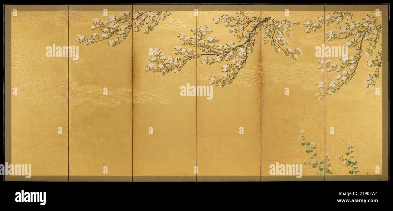 Cherry rechts von einem Paar Cherry and Willow, erste Hälfte des 17. Jahrhunderts, Hasegawa School, 64 x 141 3/4 cm. (162,56 x 360,05 cm) (Bild)70 1/4 x 148 1/4 x 5/8 Zoll (178,44 x 376,56 x 1,59 cm) (Außenrahmen), Farbe, Goldfarbe, Blattgold und Moriage auf Papier, Japan, 17. Jahrhundert, überhängende Äste einer Weide mit kürzlich gekeimten Blättern, Zweige eines Kirschbaums in voller Blüte, und die Oberseite eines Klumpens blühender Gräser sind die einzigen gemalten Motive in diesem Paar Klappschirme. Es gibt jedoch noch viel mehr zu entdecken, wenn wir genau hinschauen. Eine unsichtbare Brise zieht von links herein Stockfoto