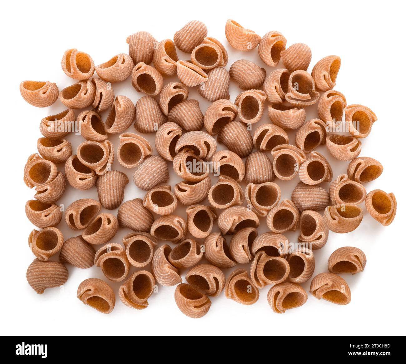 Gruppe von italienischen Conchiglie Pasta isoliert auf weiß Stockfoto