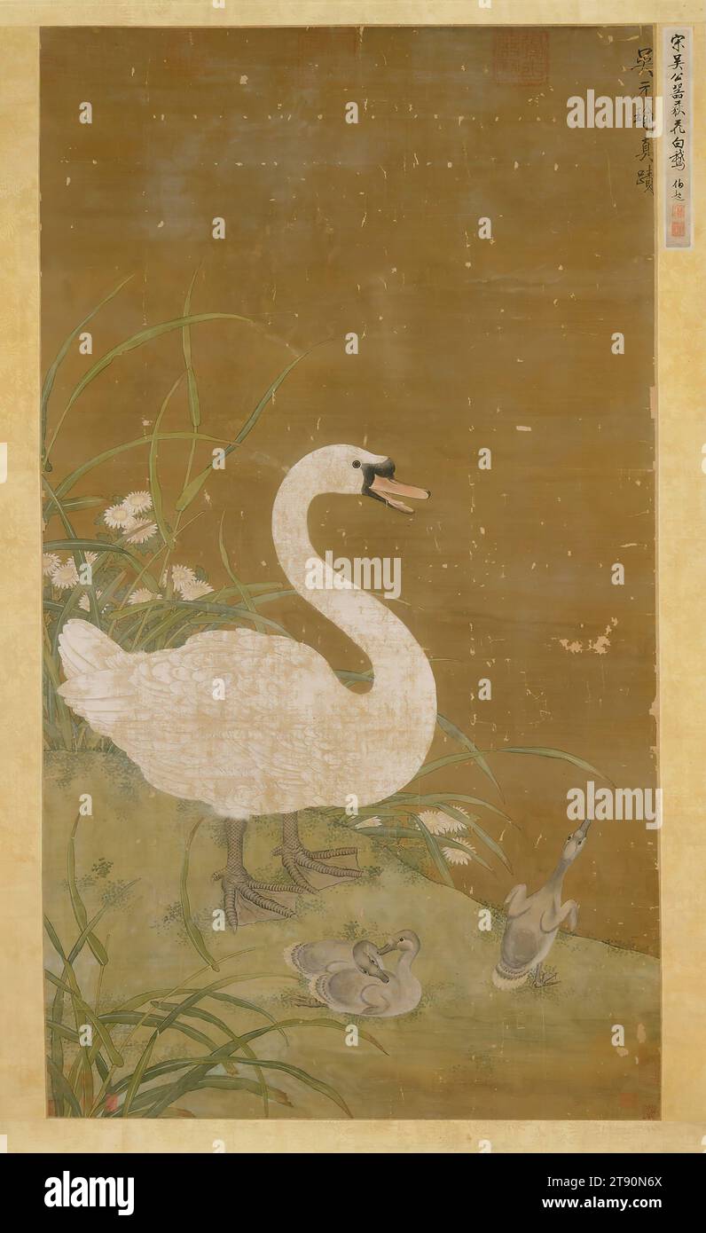 Schwan und Zygneten, 15. Jahrhundert, nach Wu Yuanyu, Chinesisch, aktiv 1080-1104, 62 x 35 1/2 Zoll (157,48 x 90,17 cm), Tinte und Farbe auf Seide, China, 15. Jahrhundert, dieses Gemälde ist typisch für professionelle Blumen- und Vogelmalereien der frühen Ming-Zeit in seiner klaren Referenz an ältere Stile der Song-Dynastie. Mit dem Sturz der Mongolen im Jahr 1368 und der Wiederherstellung der Herrschaft der Ureinwohner war die Tendenz, die hochentwickelten Kunstformen der vormongolischen Ära nachzuahmen, sehr ausgeprägt Stockfoto