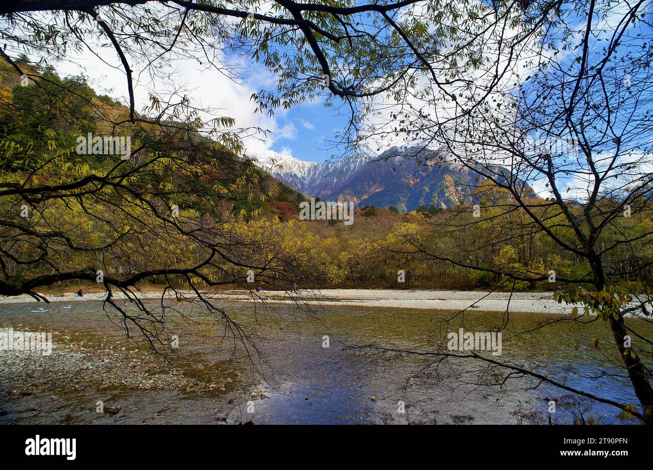 Wunderschöner Taisho-Teich in Kamikochi, Japan. Das noch blaue Wasser des Teichs spiegelt die umliegenden bewaldeten Berge wider. Stockfoto