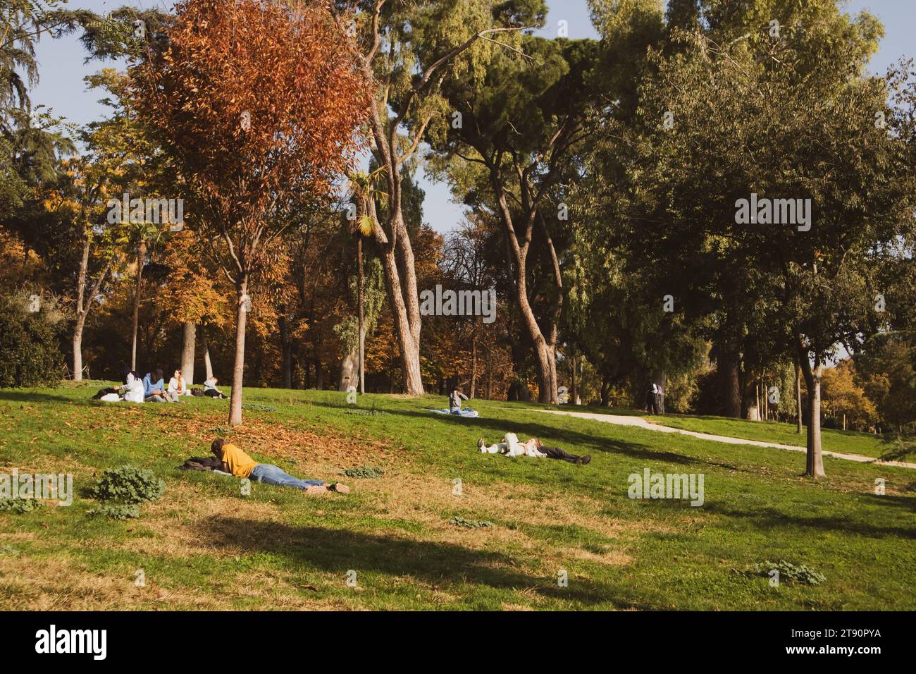 Spanien, Madrid. 19. November 2023 Menschen entspannen sich auf Rasenflächen, Stadtbewohner entspannen sich im Herbstpark unter hohen Bäumen. Grünes Gras in einem Park. Spani Stockfoto