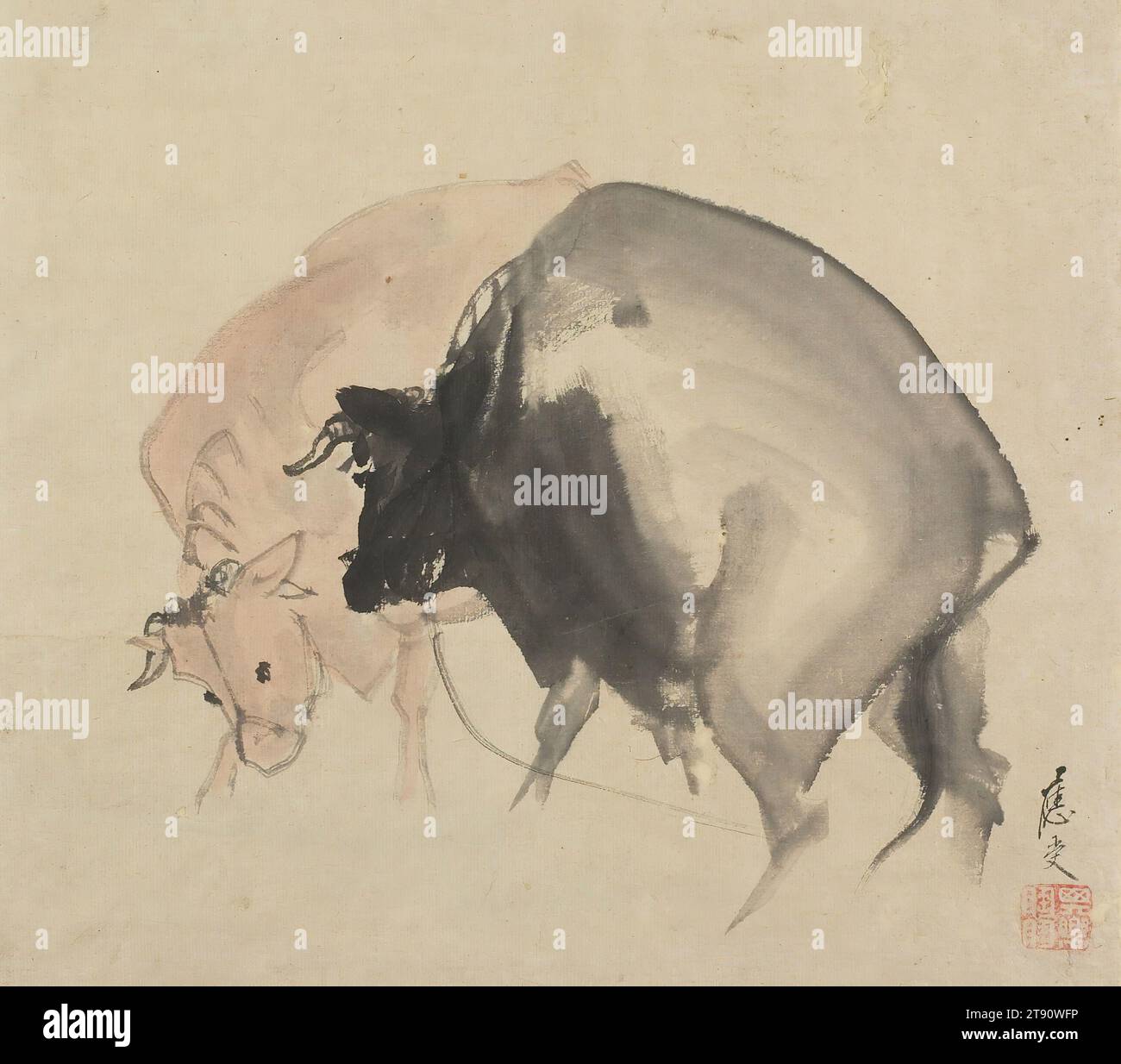 Two Bulls, ca. 1810, Maruyama Ōju, Japanisch, 1777 1815, 1/8 x 5/8