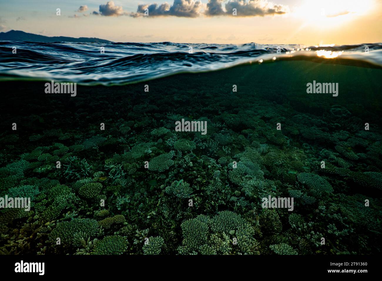 Korallenriff der Mayotte Lagune bei Sonnenuntergang Stockfoto