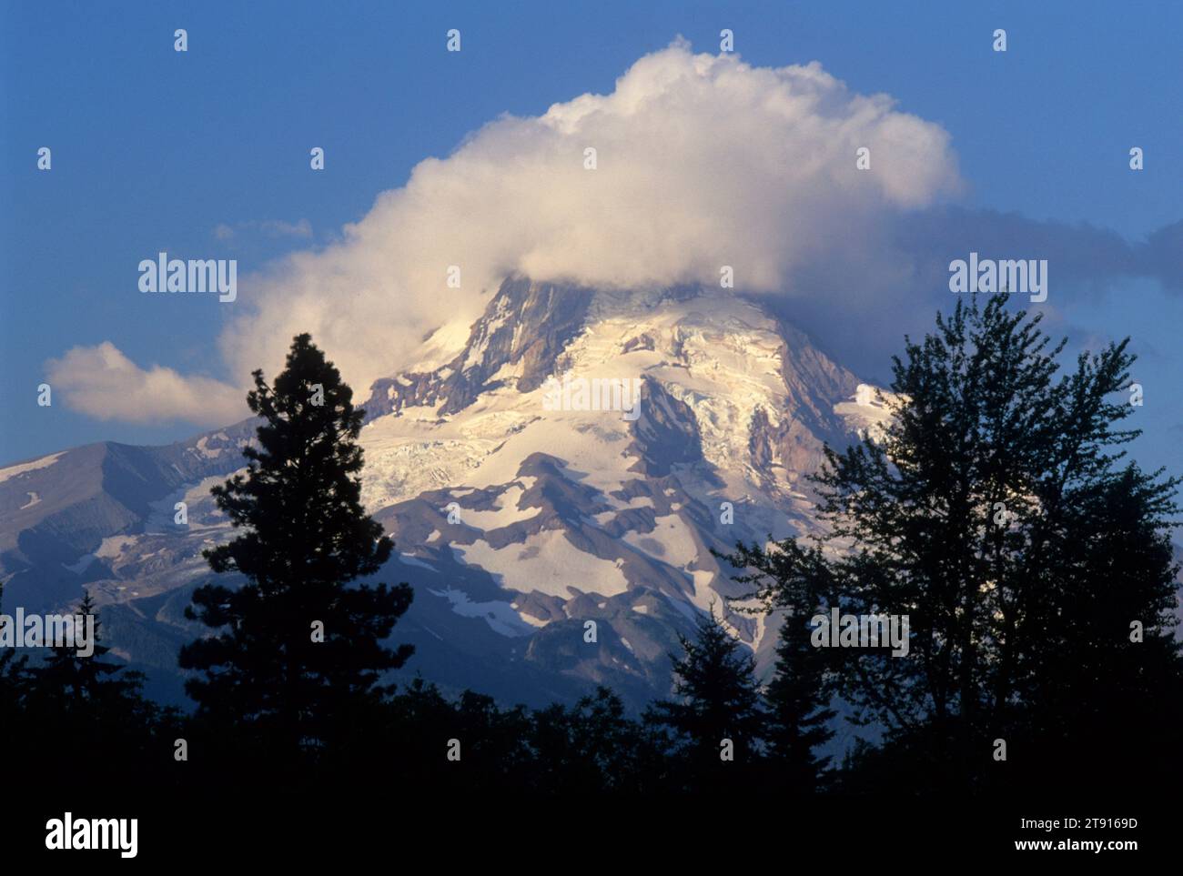 MT Hood vom Hood River Valley, Hood River County, Oregon Stockfoto