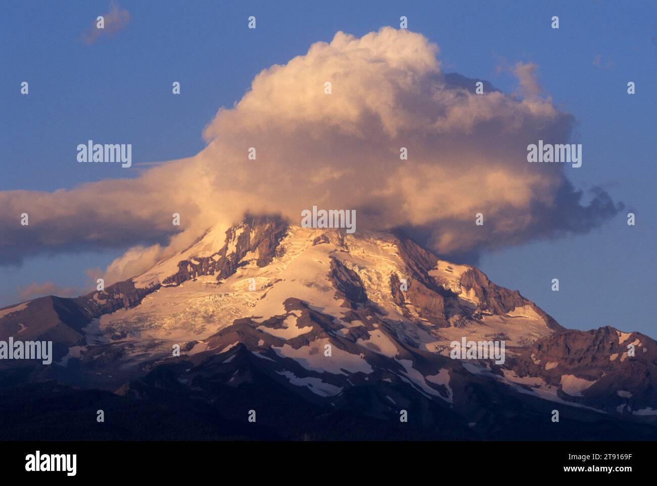 MT Hood vom Hood River Valley, Hood River County, Oregon Stockfoto