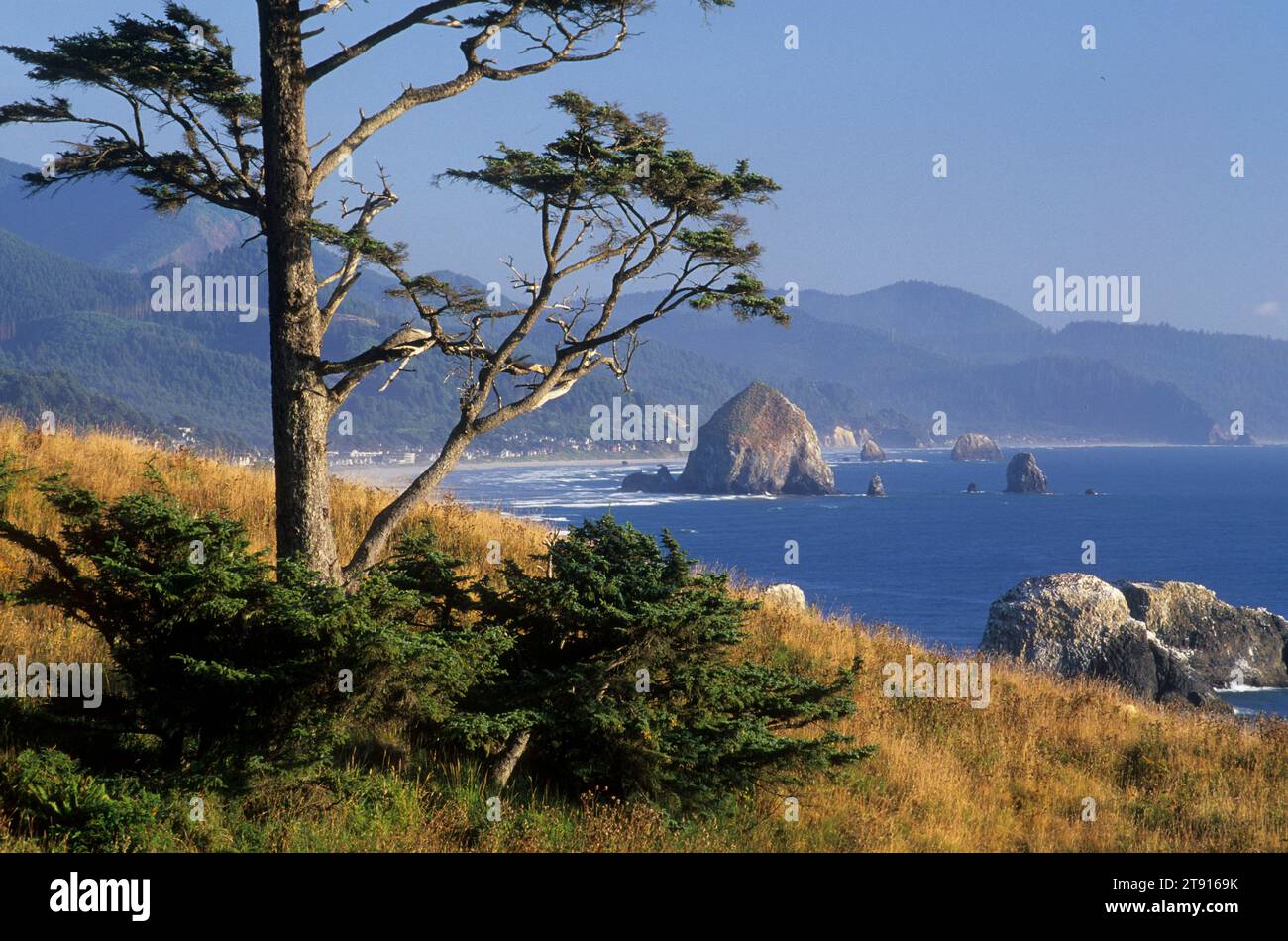 Ecola Punkt Aussicht, Ecola State Park, Lewis&Clark National Historic Park, Illinois Stockfoto