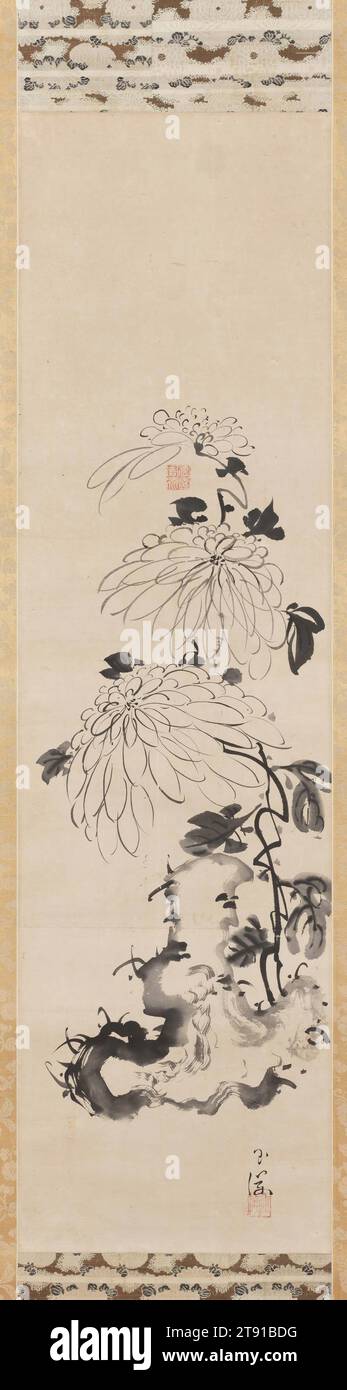 Chrysanthemen und Felsen, 18. Jahrhundert, Ike (Tokuyama) Gyokuran, Japanisch, 1727 - 1784, 41 x 1/4 Zoll (104,14 x 28,58 cm) (Bild)77 x 1/8 Zoll (195,58 x 46,04 cm) (Halterung, ohne Rolle), Tinte auf Papier, Japan, 18. Jahrhundert, spätblühende Chrysanthemen, die während der ersten Schneefälle des Winters oft in Blüte bleiben, sind Symbole für Stärke und Entschlossenheit und waren ein beliebtes Motiv für Literatenmaler wie Ike (geb. Tokuyama) Gyokuran und ihren Ehemann Ike Taiga. Ihre Verwendung eines abgewinkelten Pinsels – manchmal nass, manchmal sehr trocken – erfasst die raue Textur eines erodierten Felsens Stockfoto