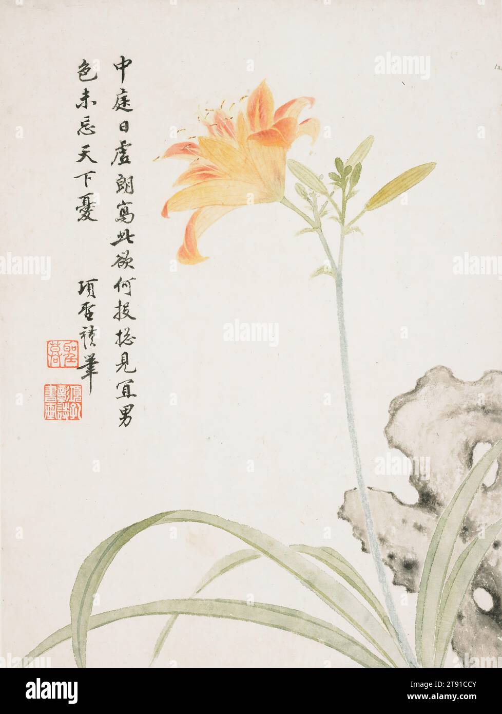 Day-Lily from a Flower Album of Ten Leaves, 1656, Xiang Shengmo, Chinesisch, 1597-1658, 1/8 x 1/16 Zoll (30,8 x 23 cm), Tinte und Farbe auf Papier, China, 17. Jahrhundert, Xiang Shengmo wurde in eine der angesehensten Familien in Jiaxing, einer Stadt im Nordosten Chinas, geboren. Als die Mandschu-Invasion Jiaxing 1645 erreichte, starben viele Freunde und Verwandte Xiangs in einem vergeblichen Versuch, ihre Stadt zu retten. Sein Haus wurde zerstört und die Kunstsammlungen seiner Familie verloren. Nach diesem Umbruch wandelte sich Xiangs Gemälde von einer Amateur- und Literatenjagd und wurde zu einer Einkommensquelle. Stockfoto